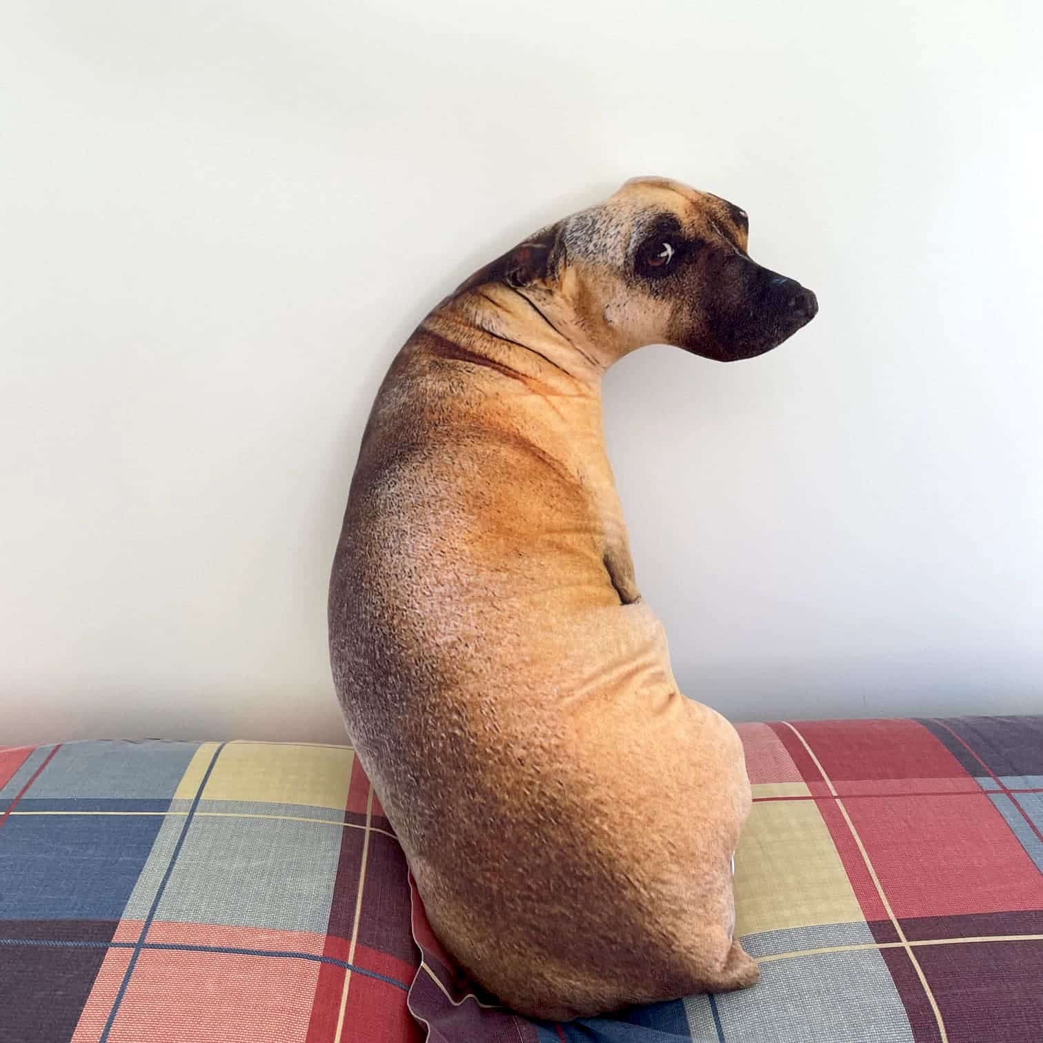 Almohada Cojin Forma Perro Perro Cojin Almohada De Perro Almohada